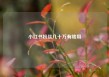 小红书粉丝几十万有啥用