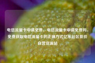 电信流量卡申请免费，电信流量卡申请免费吗，免费获取电信流量卡的正确方式亿乐社区低价自营货源站