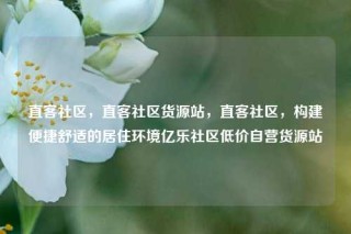 直客社区，直客社区货源站，直客社区，构建便捷舒适的居住环境亿乐社区低价自营货源站