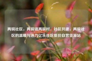 两碗社区，两碗镇两碗村，社区共建，两碗社区的温暖与活力亿乐社区低价自营货源站