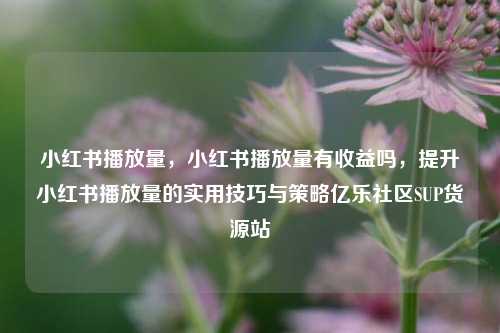 小红书播放量	，小红书播放量有收益吗，提升小红书播放量的实用技巧与策略亿乐社区SUP货源站  第1张