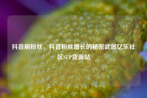 抖音刷粉丝，抖音粉丝增长的秘密武器亿乐社区SUP货源站  第1张