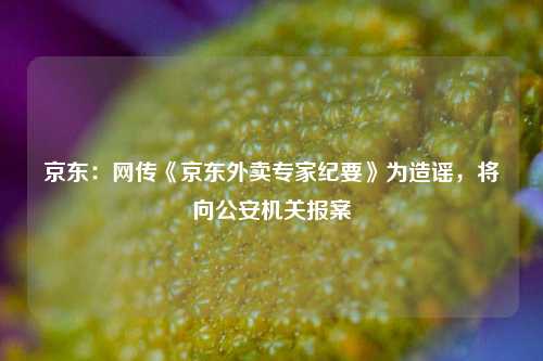 京东：网传《京东外卖专家纪要》为造谣	，将向公安机关报案  第1张