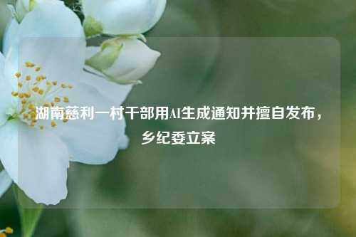 湖南慈利一村干部用AI生成通知并擅自发布	，乡纪委立案  第1张