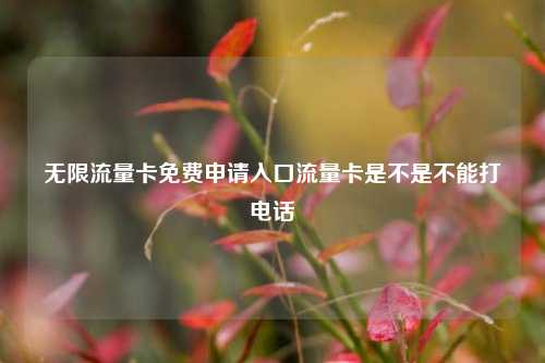 无限流量卡免费申请入口流量卡是不是不能打电话  第1张