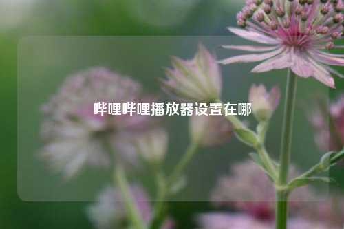 哔哩哔哩播放器设置在哪  第1张