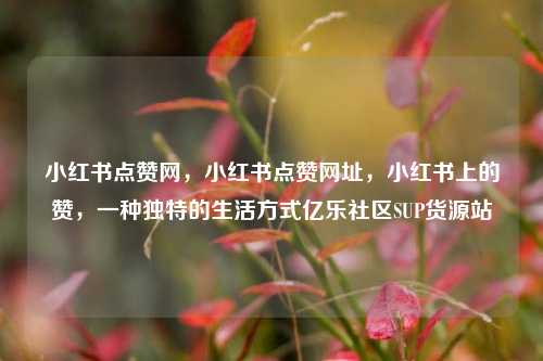 小红书点赞网，小红书点赞网址	，小红书上的赞，一种独特的生活方式亿乐社区SUP货源站  第1张