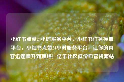 小红书点赞24小时服务平台，小红书任务接单平台	，小红书点赞24小时服务平台，让你的内容迅速飙升到顶峰！亿乐社区低价自营货源站  第1张