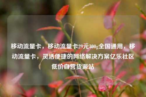 移动流量卡	，移动流量卡29元300g全国通用，移动流量卡，灵活便捷的网络解决方案亿乐社区低价自营货源站  第1张