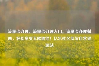 流量卡办理，流量卡办理入口，流量卡办理指南，轻松享受无限通信！亿乐社区低价自营货源站