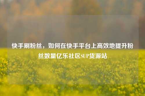 快手刷粉丝，如何在快手平台上高效地提升粉丝数量亿乐社区SUP货源站  第1张