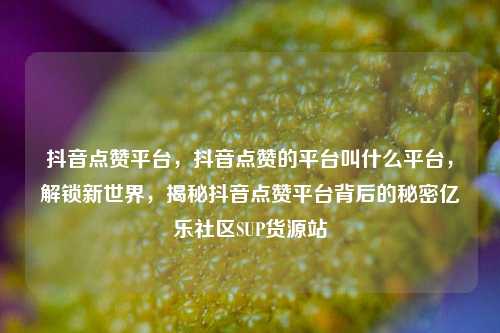 抖音点赞平台，抖音点赞的平台叫什么平台，解锁新世界，揭秘抖音点赞平台背后的秘密亿乐社区SUP货源站  第1张