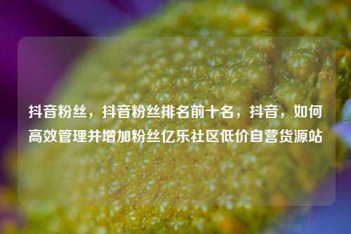 抖音粉丝，抖音粉丝排名前十名，抖音	，如何高效管理并增加粉丝亿乐社区低价自营货源站  第1张