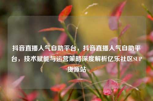 抖音直播人气自助平台，抖音直播人气自助平台，技术赋能与运营策略深度解析亿乐社区SUP货源站  第1张